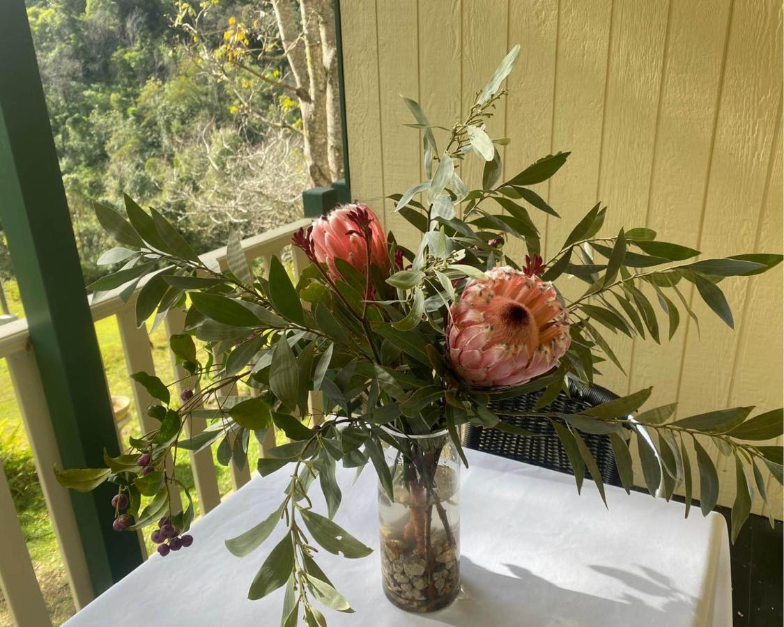 Copeland House Bed & Breakfast Bagian luar foto