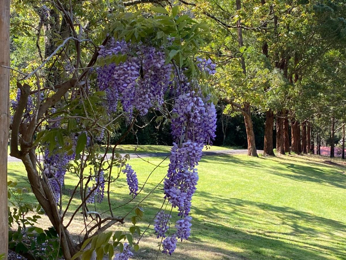 Copeland House Bed & Breakfast Bagian luar foto